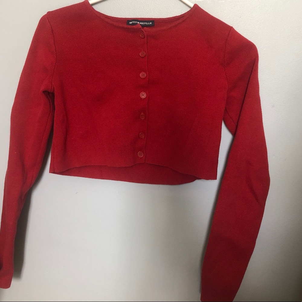 Brandy Melville Cropped Sweater